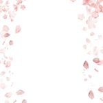 花瓣漂浮边框