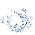 流动水花液体蝴蝶矢量图