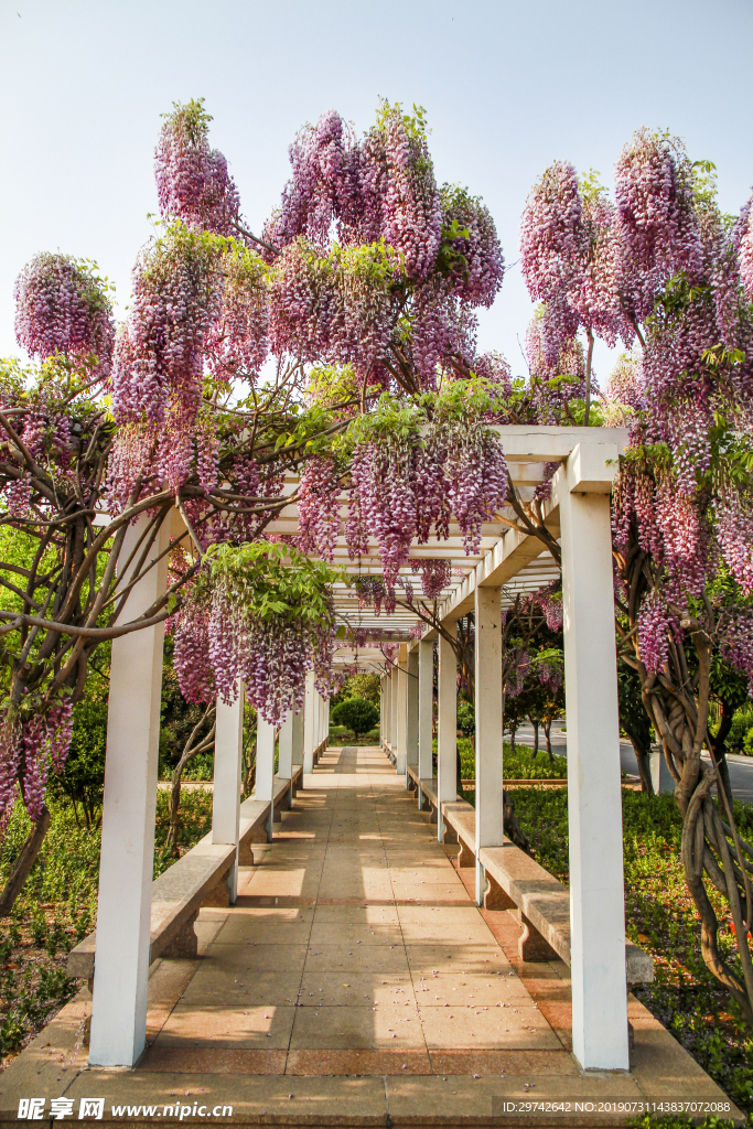 园林风景色