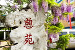 田园风景色