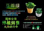 绿植销售海报