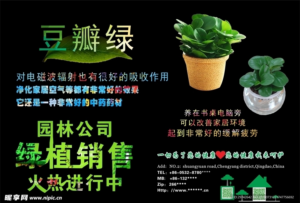 绿植销售海报