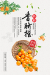 新鲜水果赣南脐橙海报