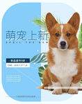 时尚简约萌宠宠物狗粮宠海报