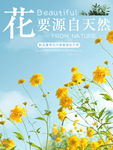 简约小清新风格日常鲜花植物全屏