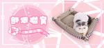 可爱风88全球狂欢节宠物用