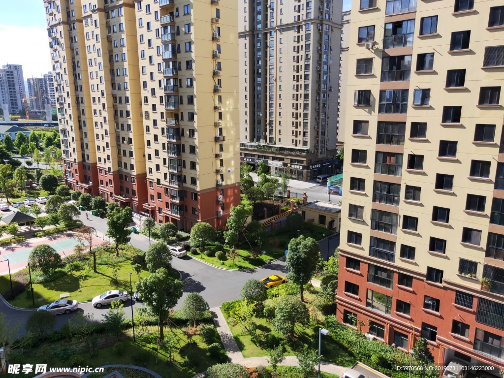 高楼绿树