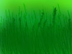 草
