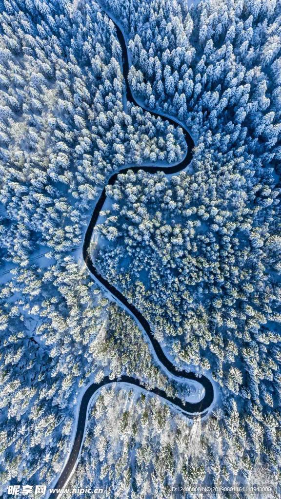 雪景