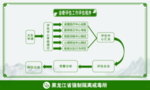 诊断评估工作评估程序