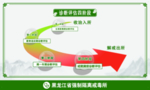 诊断评估四阶段