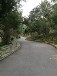 公园道路