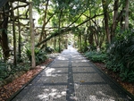 道路