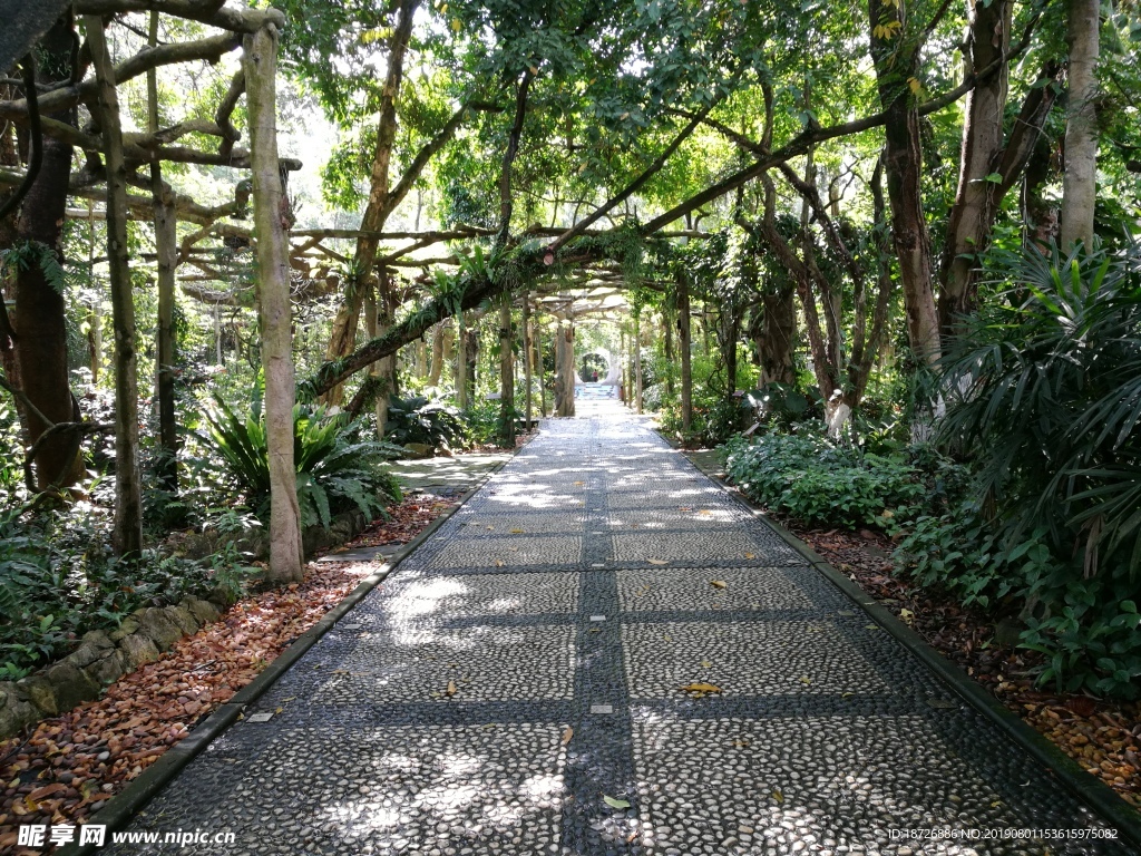 道路