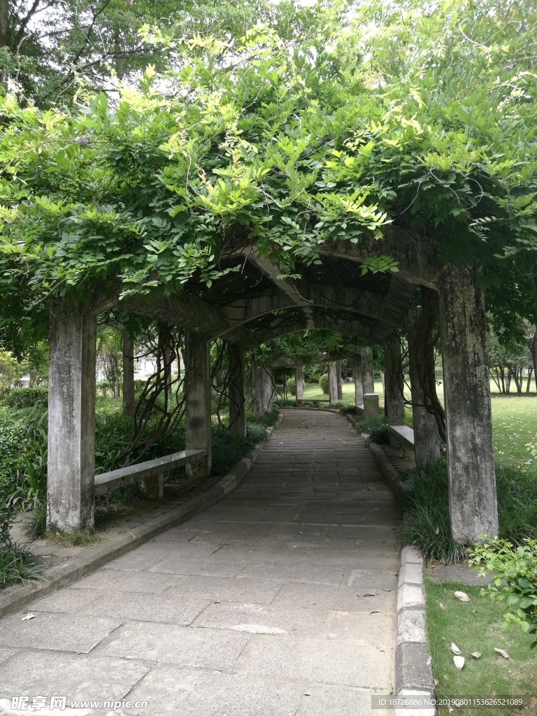 公园小道