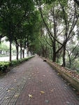 道路