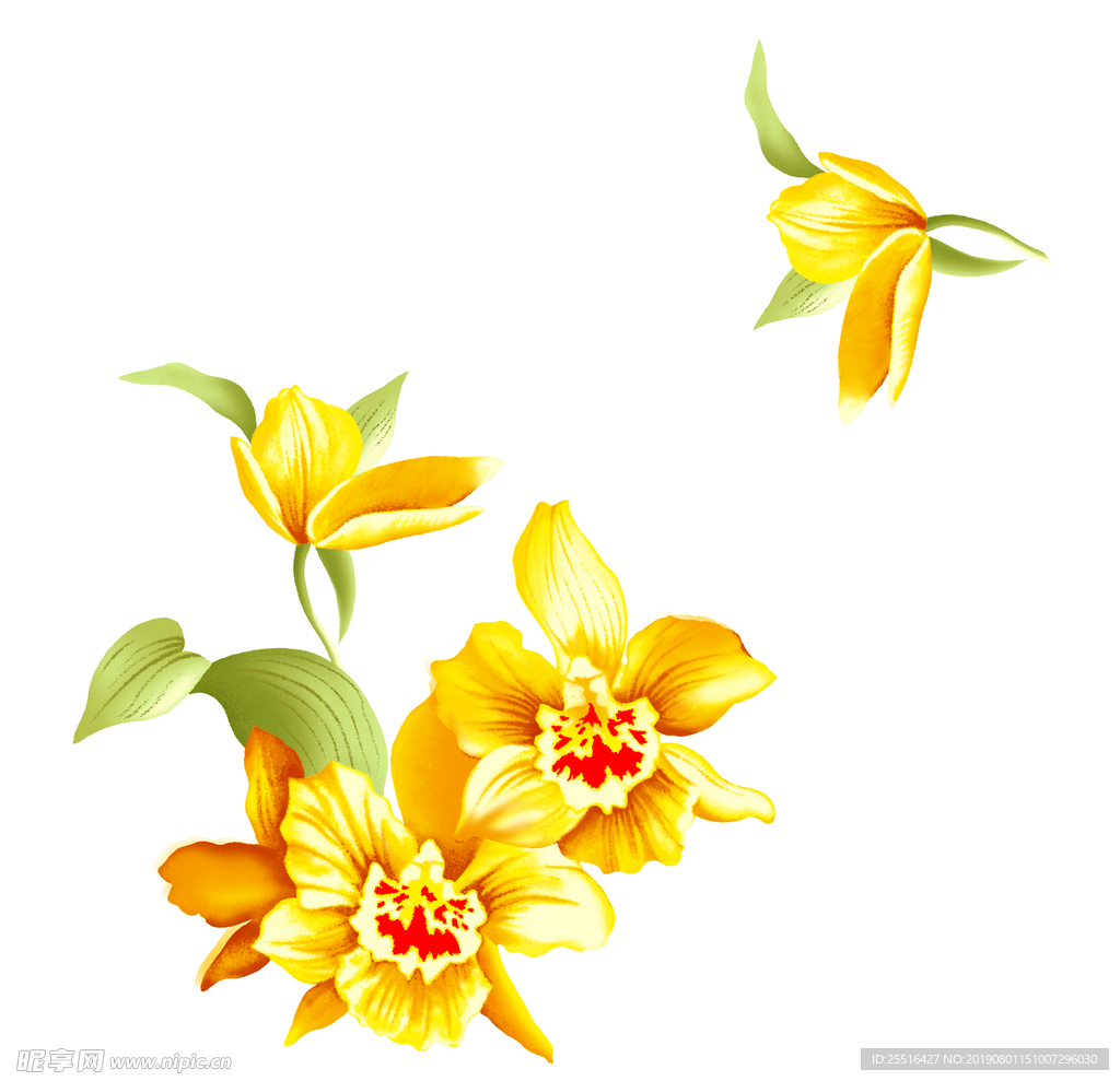 花 名片 卡片 装饰花 金色花