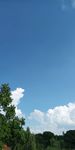 蓝天白云树照片 手机拍摄