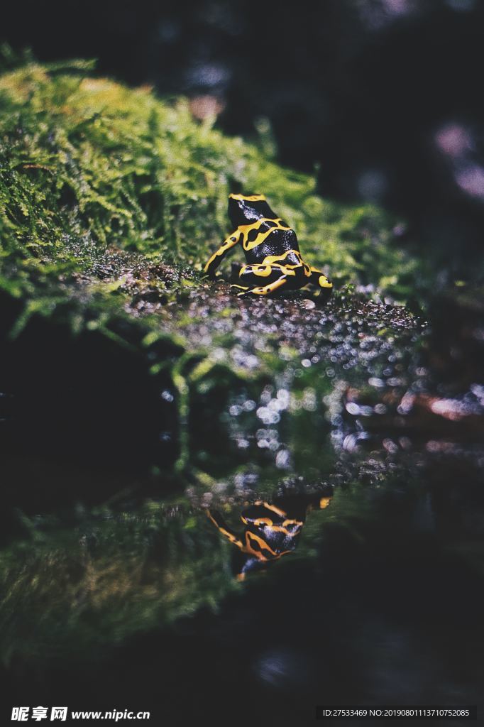 背景图