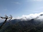 登山