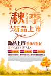 秋季上新
