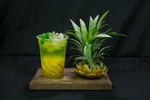 水果茶