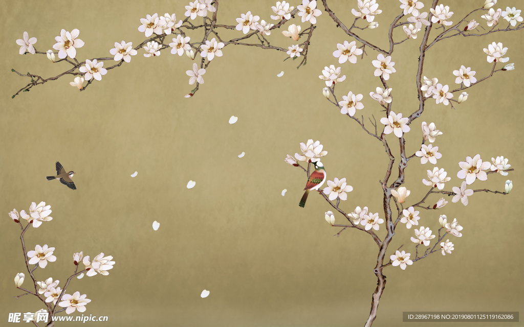 玉兰花