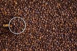 咖啡杯充分豆
