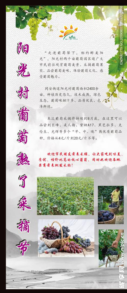 葡萄展架