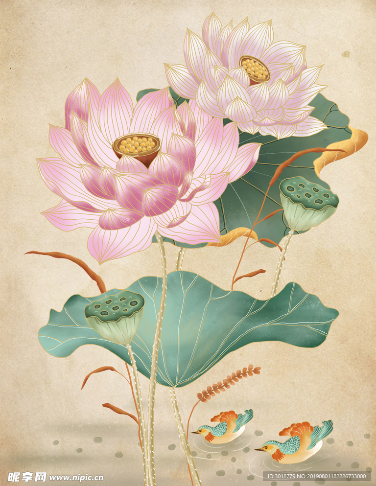 荷花