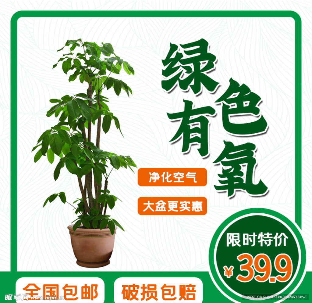 简约小清新绿色植物盆栽摆件主图