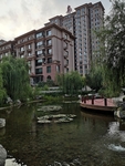 风景