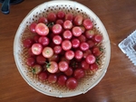 小番茄