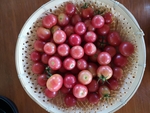 小番茄