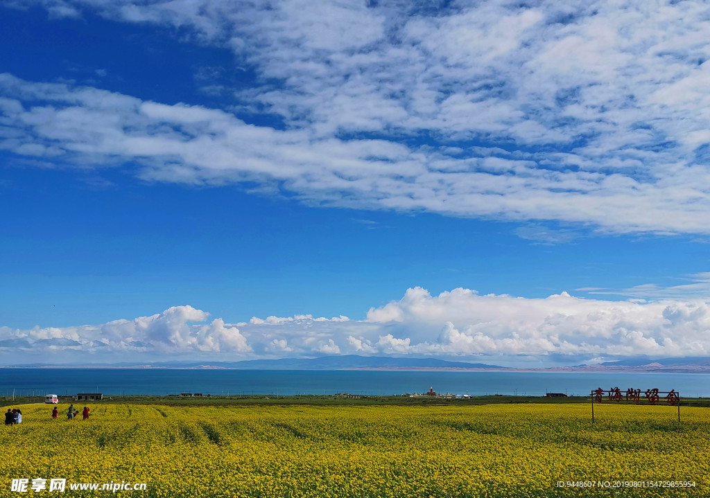 青海湖风景