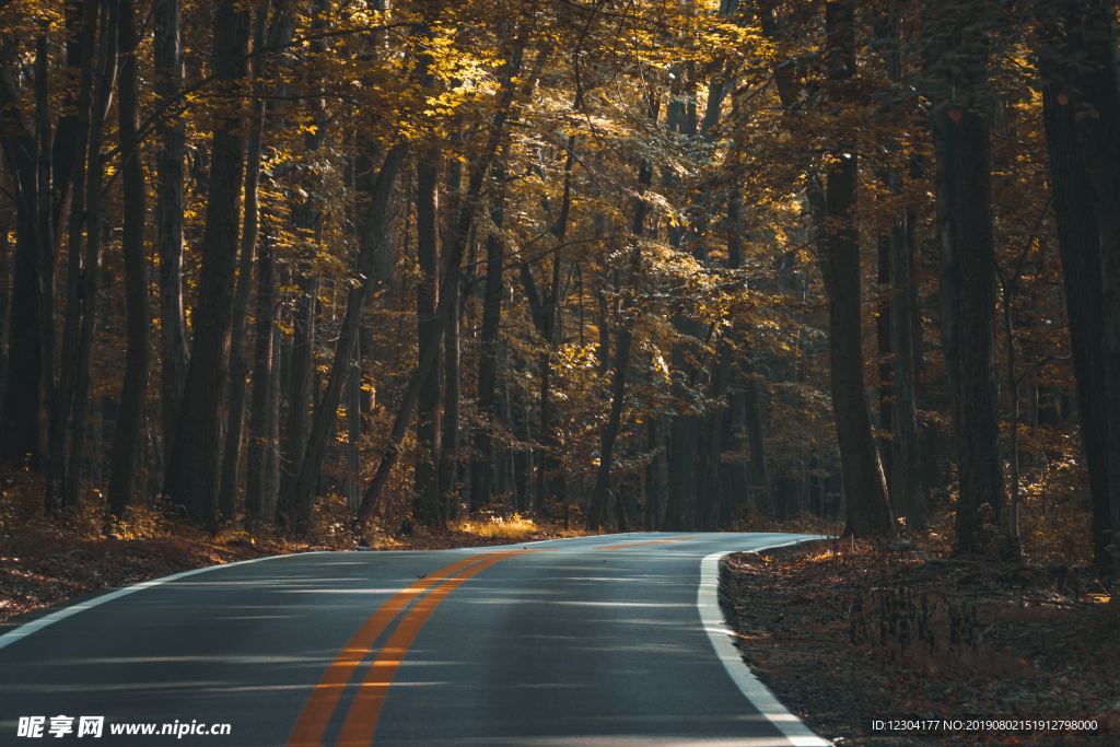路
