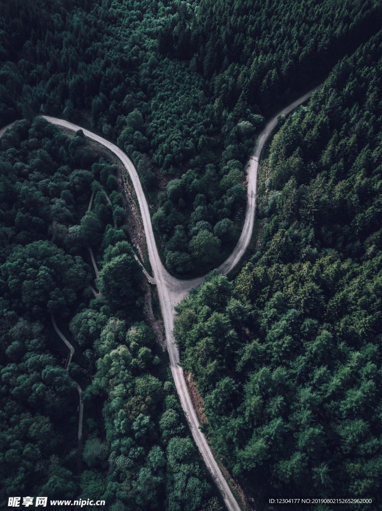 路