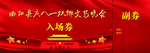 晚会入场券