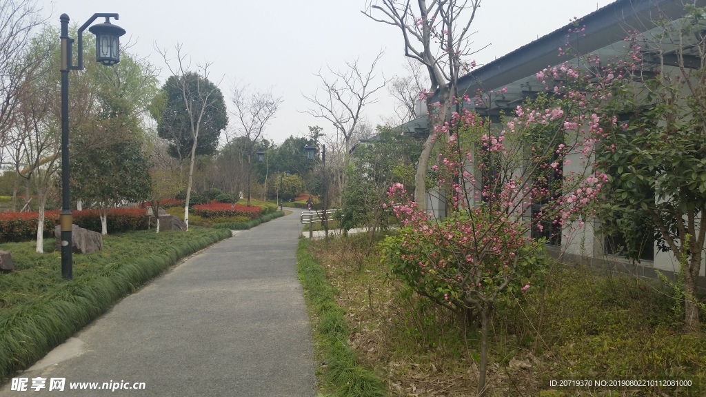 公园