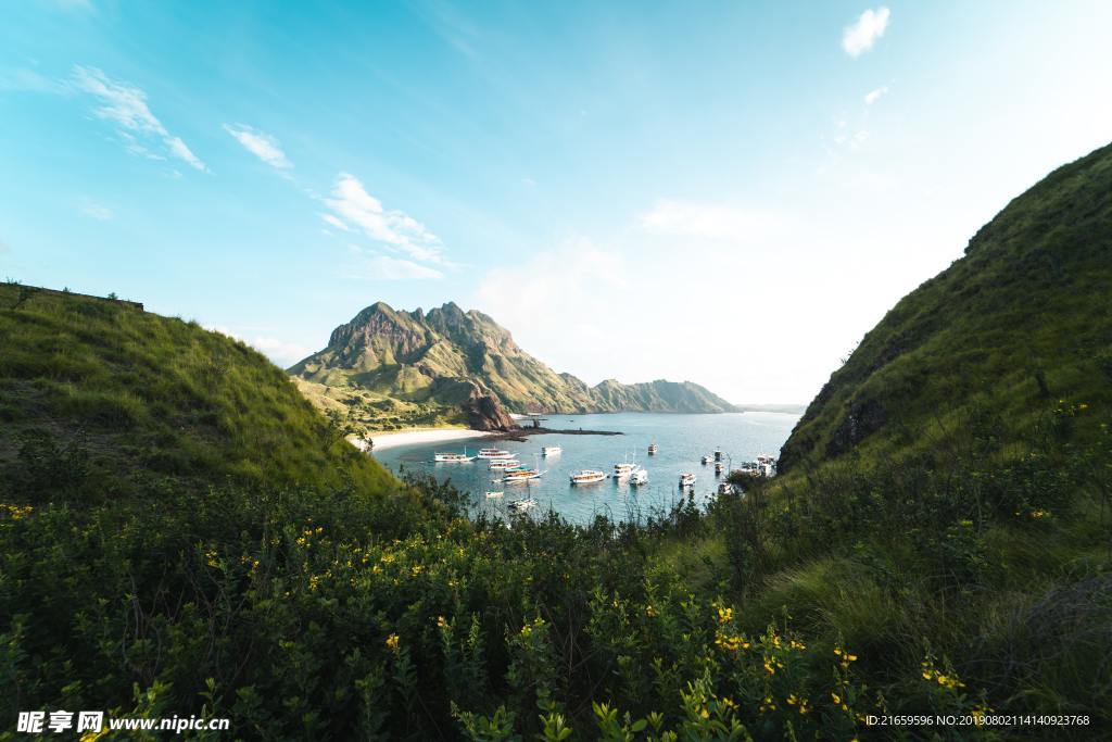 山 海  树  船  海面