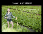 菜园