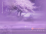 相册模板背景素材