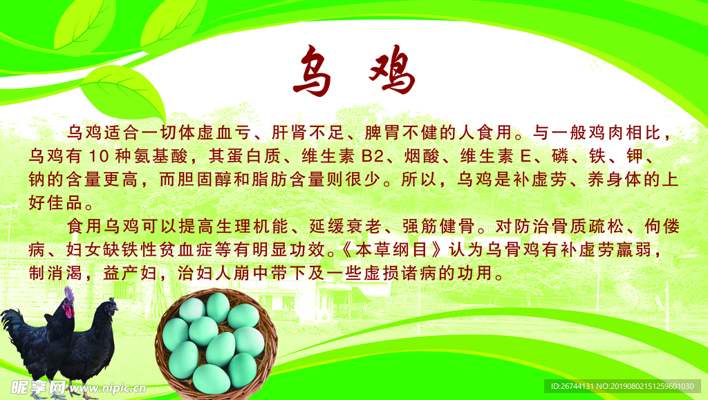 乌鸡