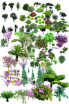 植物图