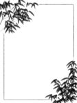 中国风背景