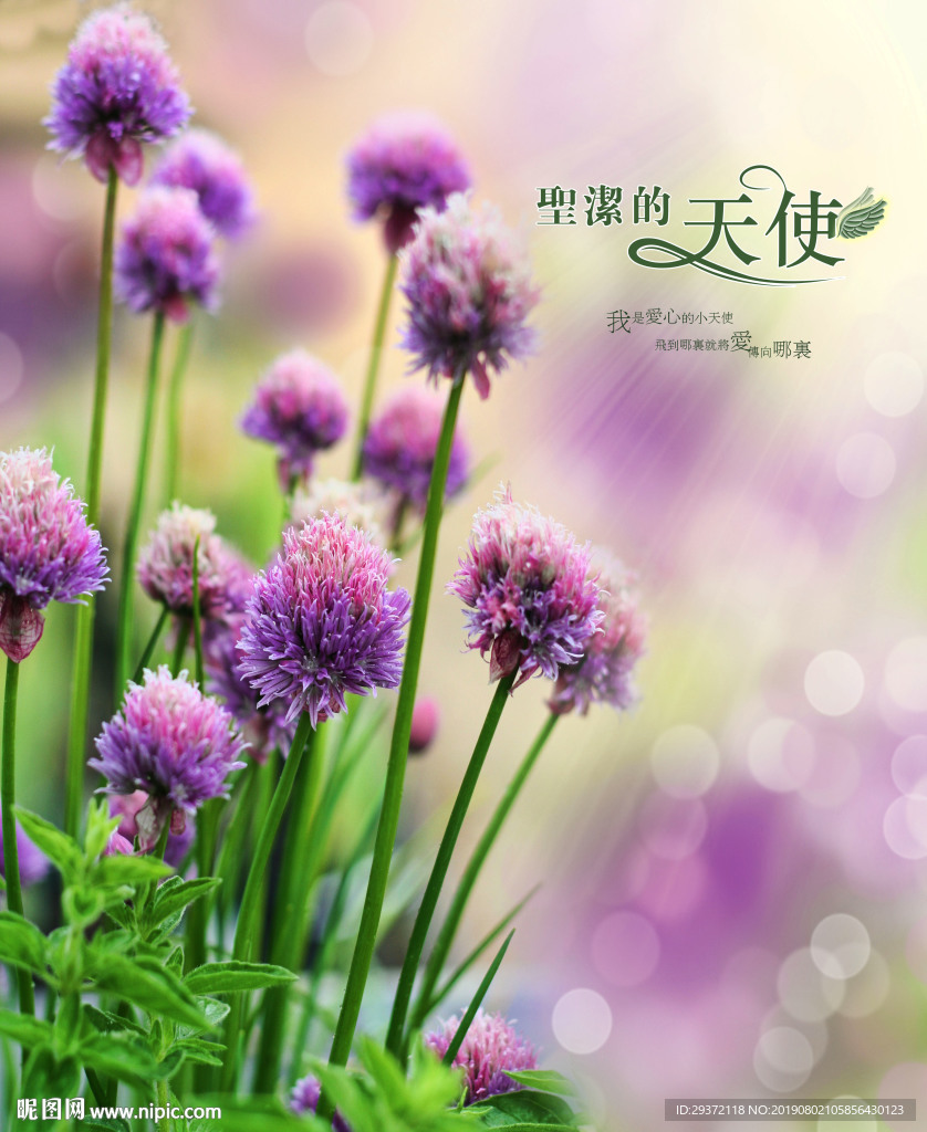 衣柜门
