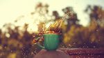 茶杯水花