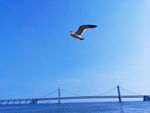 大海风光