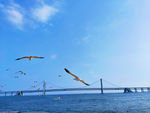 大海风光