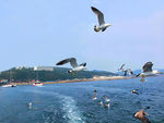 大海风光